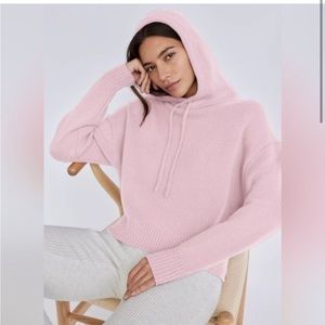 Babaton Cashmere Hoodie from Aritzia